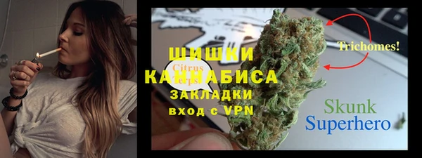 мет Алексин