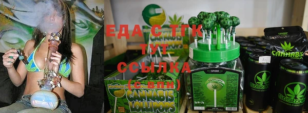 гашик Аркадак