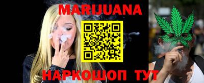 spice Кингисепп