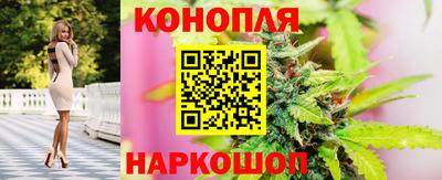 spice Кингисепп