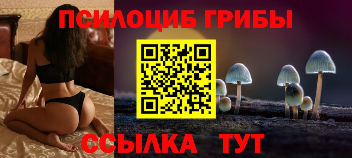 где можно купить наркотик  Вход с VPN  Можга  Псилоцибиновые грибы Magic Shrooms 