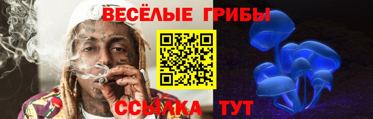 Галлюциногенные грибы MAGIC MUSHROOMS Можга